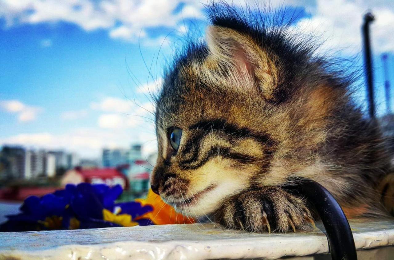 Lukyhome Τυφλίδα Εξωτερικό φωτογραφία